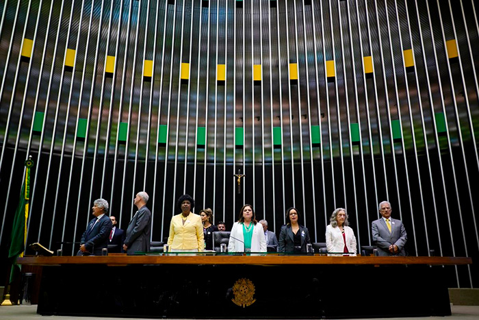 Sessão solene: Chico Alencar, Kellner, Benedita, Soraya Santos, Denise Pires de Carvalho, Thereza Baumann e Rubens Bueno. Foto: Will Shutter/Câmara dos Deputados