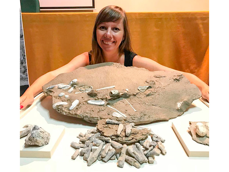 Coletiva de imprensa no Museu Nacional do artigo da Science sobre ovos e ossos de pterossauros da China