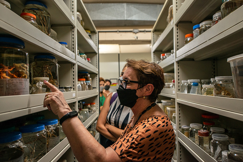 Maria Ignez em visita técnica às coleções do Museu Nacional/UFRJ. Crédito: Felipe Cohen (Projeto Museu Nacional Vive)