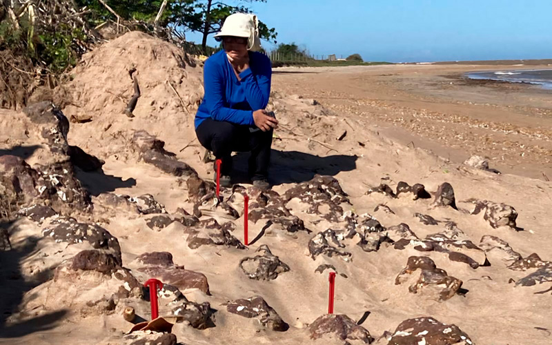 Professora do Museu Nacional/UFRJ e coordenadora do projeto arqueológico, Andrea de Lessa Pinto, no sítio no norte fluminense